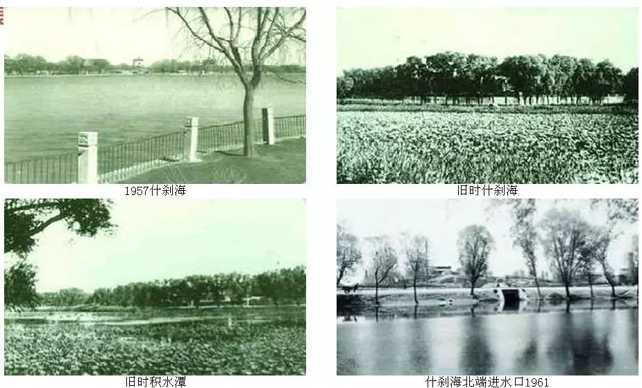 什刹海游泳最新视频,什刹海游泳场视频