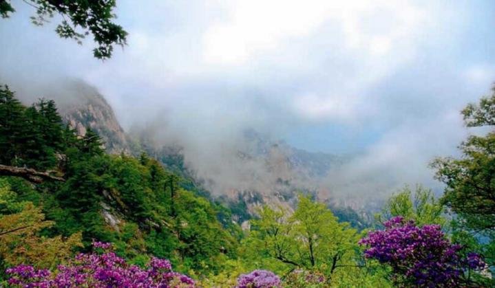 这里有十里亲水画廊,在海拔1400米的地方看世界杯,赏流泉飞瀑