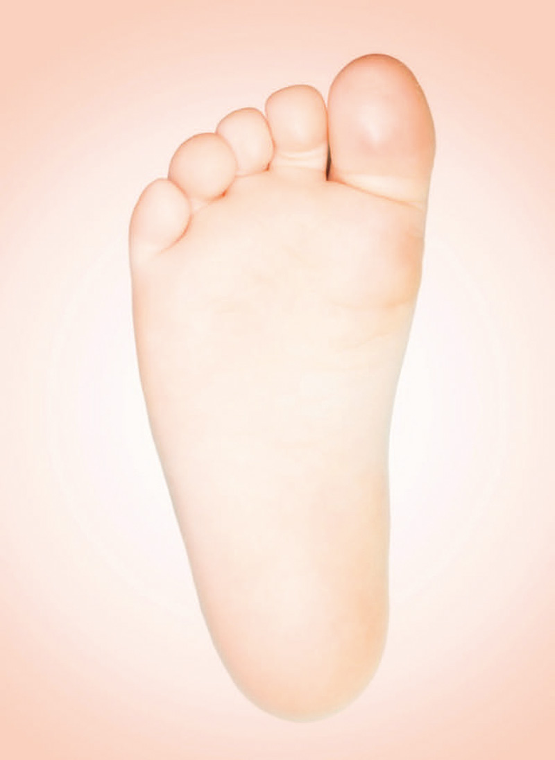 快乐的小脚户外活动,快乐的小脚舞蹈完整版