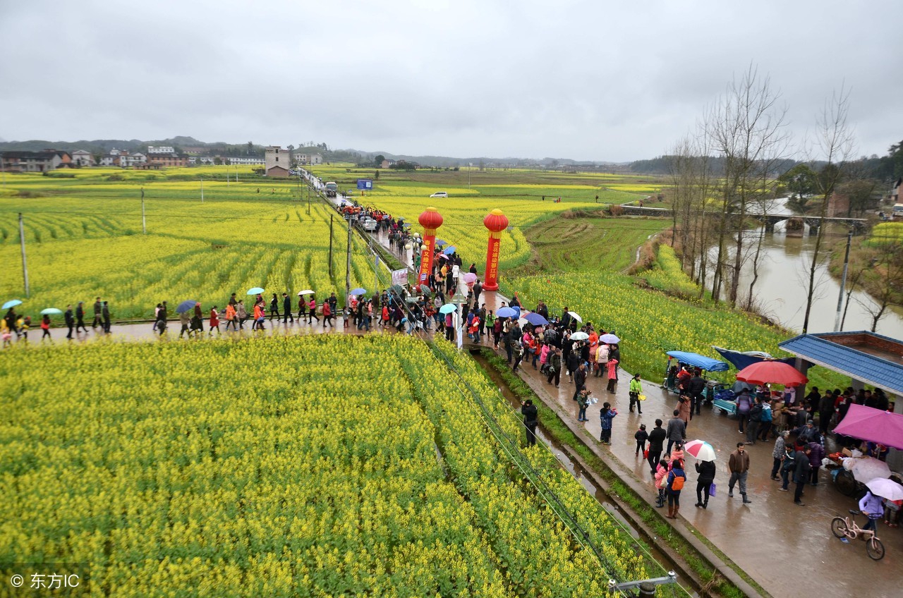 农业创业赚钱的十种运营模式,如何打造农业持续的盈利模式