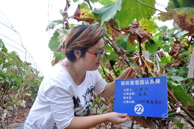 农业创业赚钱的十种运营模式,如何打造农业持续的盈利模式