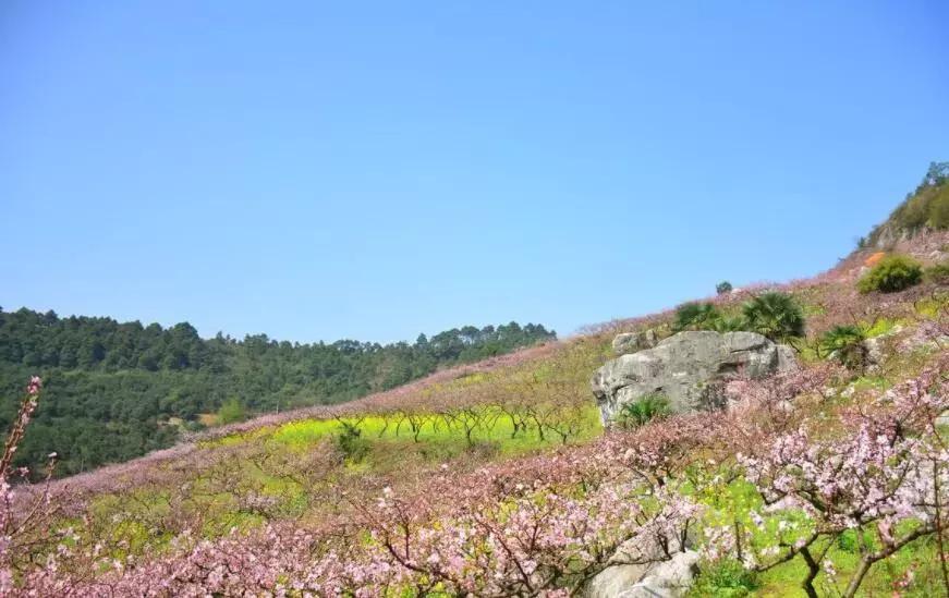 下一站湘府路站,下一站湖南