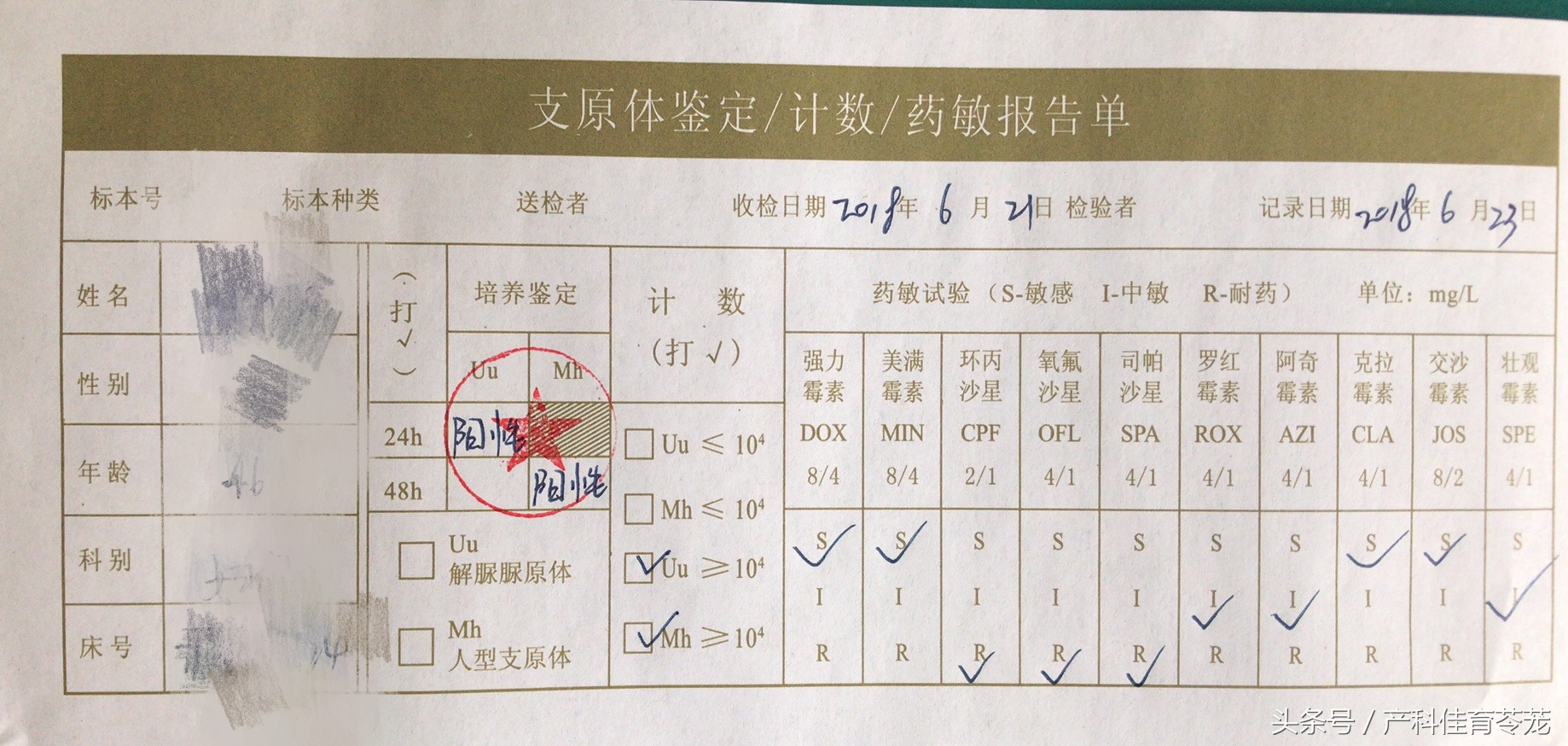 解脲支原体感染如何治疗,肺炎支原体感染治疗方案