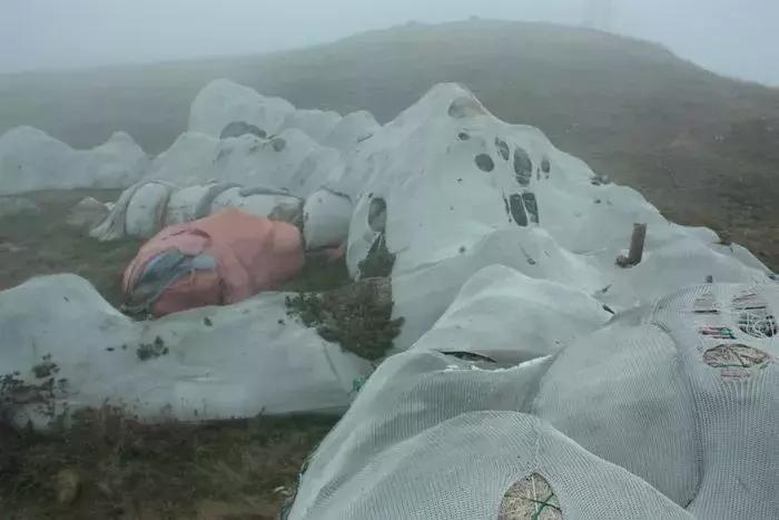 三观毁｜这个位于荷兰鹿特丹的博物馆，居然进屎了!!