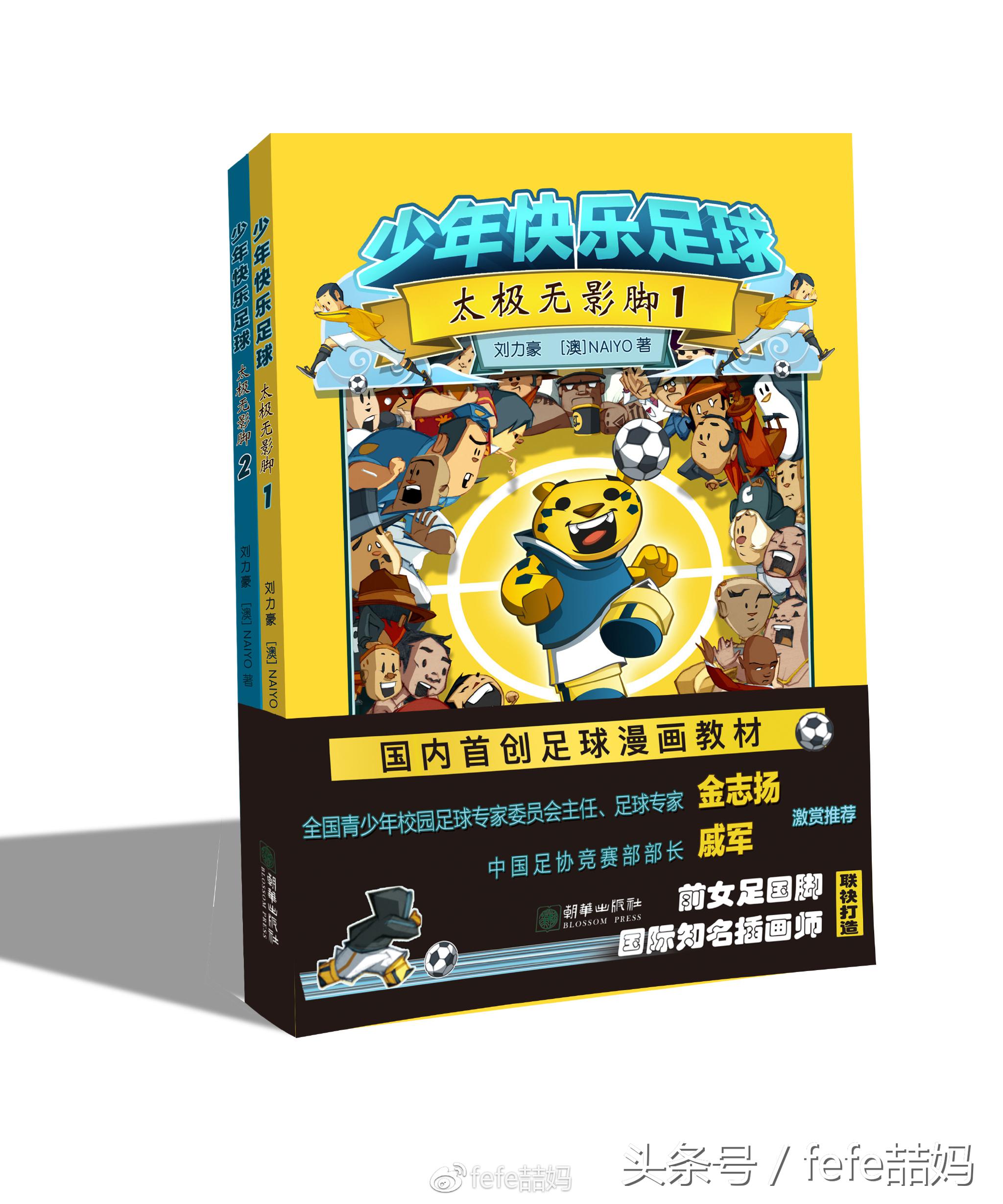 足球书籍世界杯,世界杯来了绘本