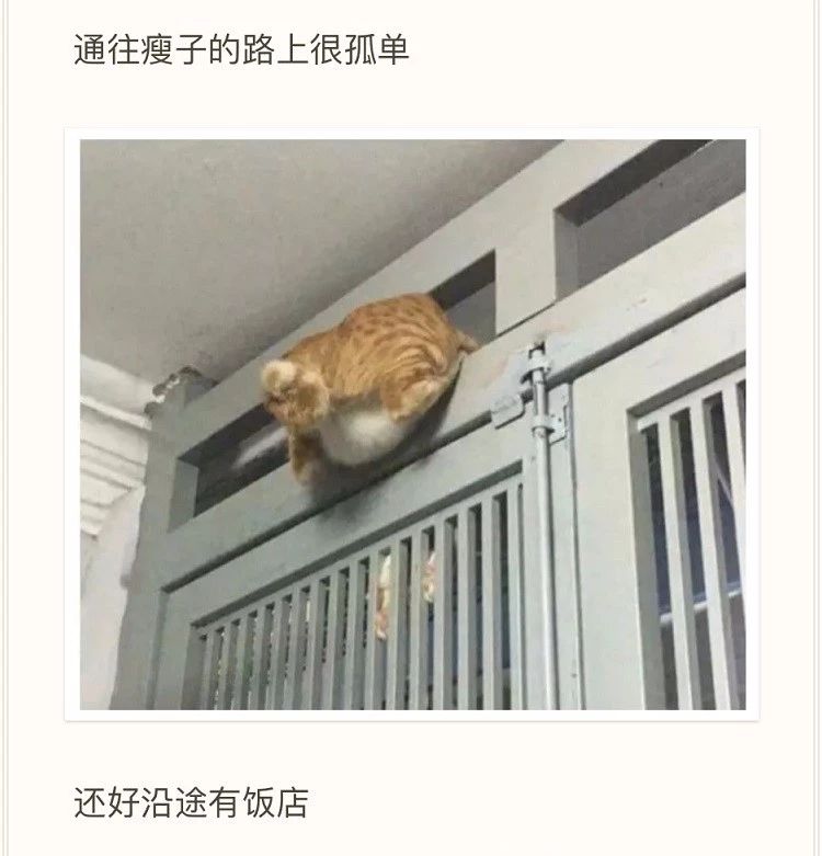 千万不要赌球,千万别赌球