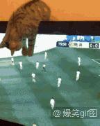 千万不要赌球,千万别赌球