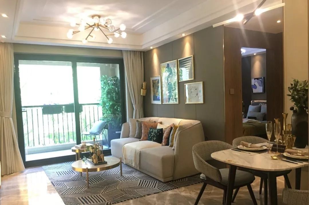 卢俊接受采访,卢俊的全部视频