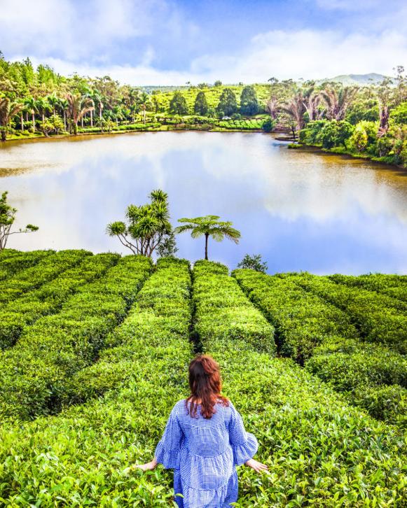沙滩、瀑布、美女尽在毛里求斯，你，值得拥有