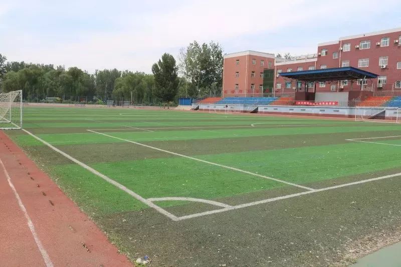 足球世界杯球场,世界杯球场距离多远