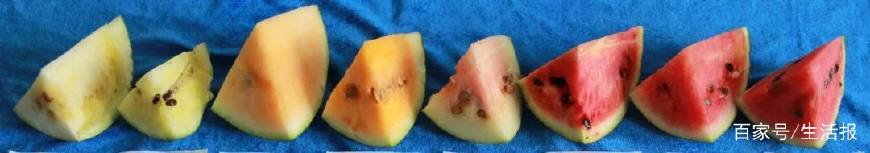 黄瓤西瓜和红瓤西瓜怎样辨别,黄瓤西瓜和红瓤西瓜区别