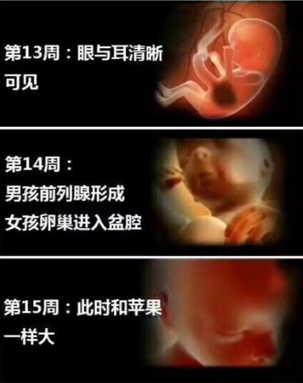 养出漂亮宝宝,养出聪明娃的技巧