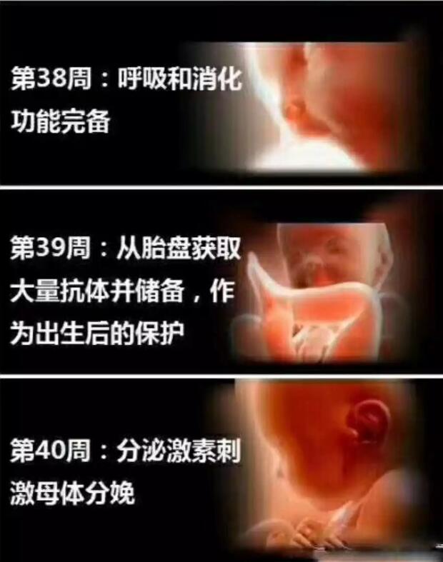 养出漂亮宝宝,养出聪明娃的技巧