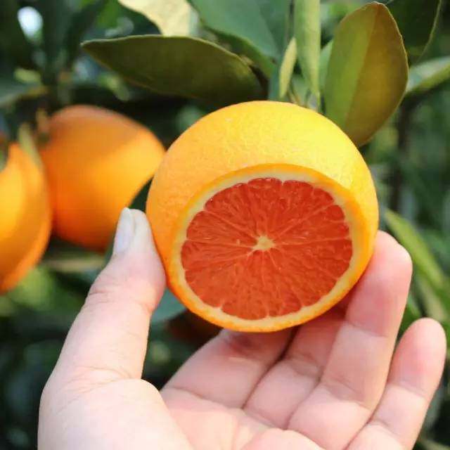 终于等到你，这个城市不得了！未将媲美二线城市直追北上广