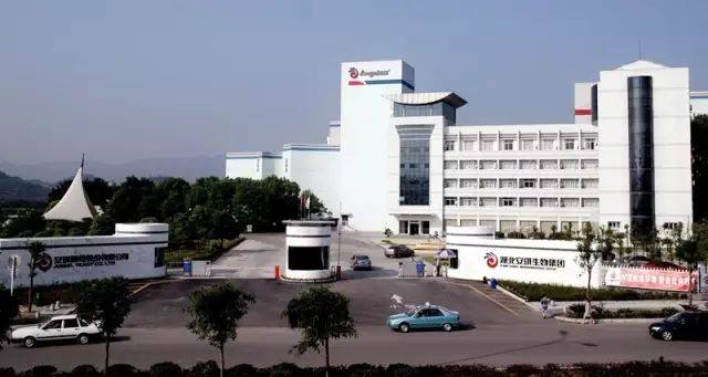 终于等到你，这个城市不得了！未将媲美二线城市直追北上广