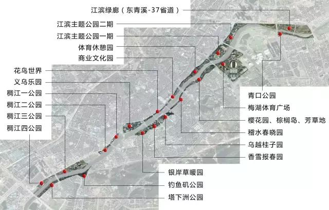 义乌江滨绿廊景点,义乌江滨绿廊公园绣球花