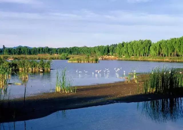 最新消息！国家点名表扬北京这几个区，快看看有你们家嘛？