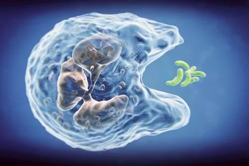 c罗最著名的运动员,除了c罗还有哪些球员