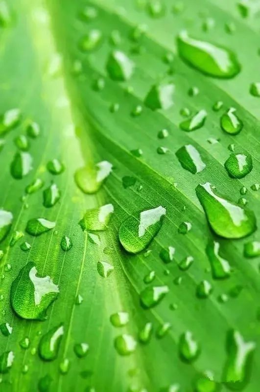 微信聊天护眼背景图高清大图,护眼背景图微信聊天背景