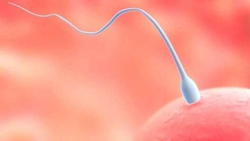 还不知道自己怀孕了？其实受精卵着床时，妈妈会有这5种感觉哦