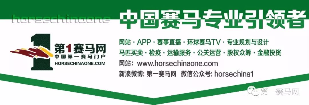 彼德说,彼德纬伦演讲