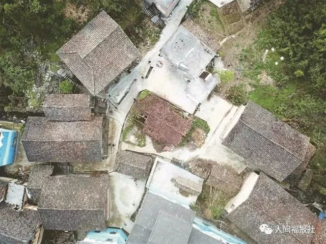 麻雀变凤凰台湾,麻雀变凤凰台湾版