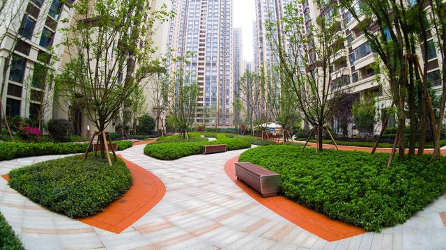 开启诗和远方,龙湖三千庭三居室