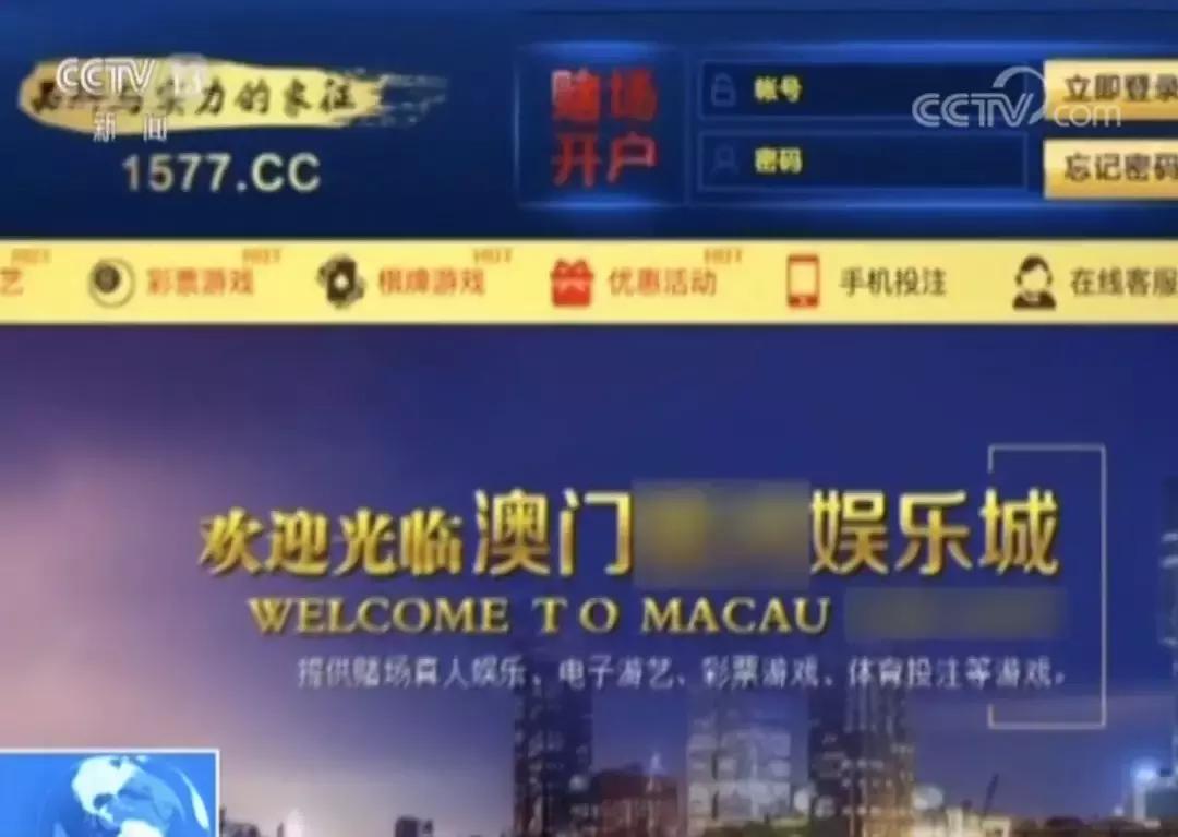 QQ群、贴吧成为滋生犯罪的温床，平台责任该如何落实？