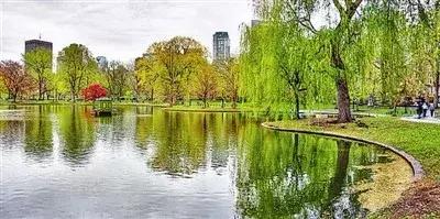 你熟悉的成都“四美”已经变成“五美”了，你知道那是什么吗？