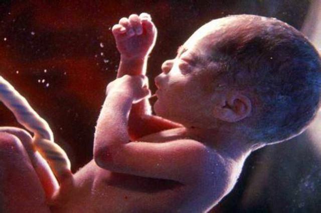 胎儿除了睡觉还会在肚子里忙什么,胎儿除了睡觉其他时间都在动