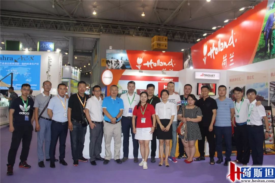 荷斯坦展览会,荷斯坦牛展