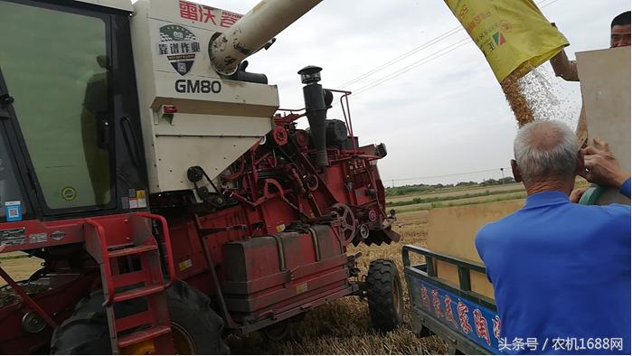 雷沃谷神gm80新车多少钱,雷沃谷神80有几款车型