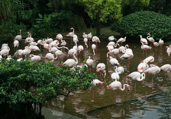 香港四天三晚购物游记,婚前带媳妇摩旅
