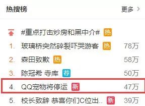 qq宠物为什么要停运,qq宠物停运还能放出宠物吗