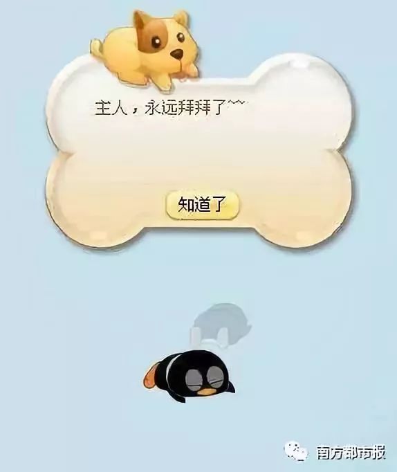 qq宠物停服最后三分钟,qq宠物停运视频