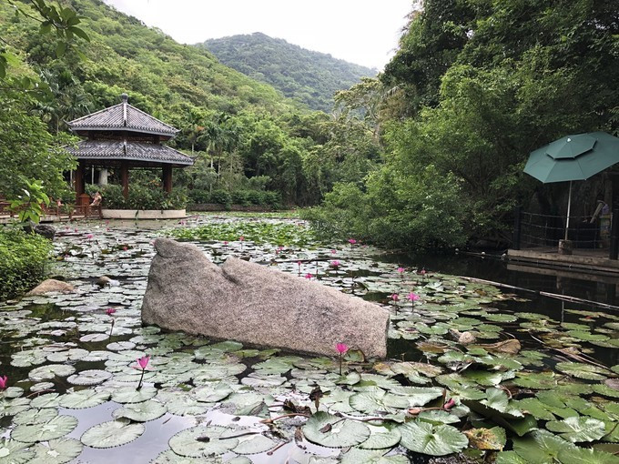 带你到三亚感受不一样的美食美景,三亚之行怎能错过这些美食和美景