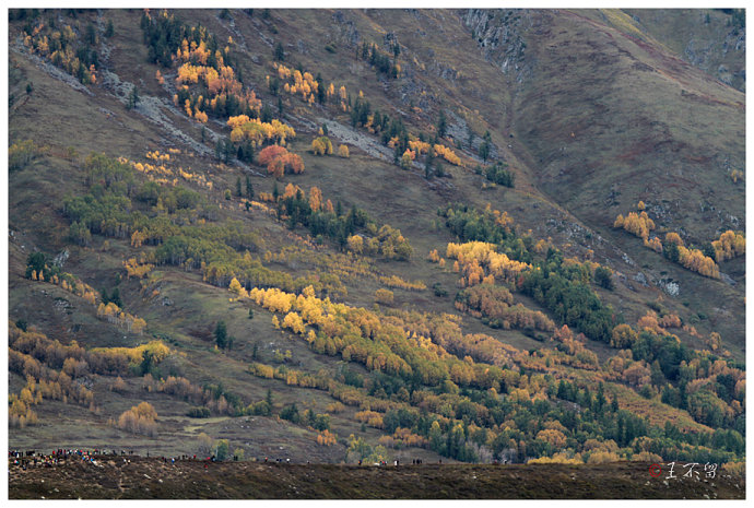喀纳斯禾木村哪个值得去,喀纳斯禾木村白哈巴村