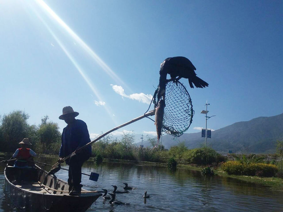 观音峡风景区门票,丽江观音峡风景区直播间