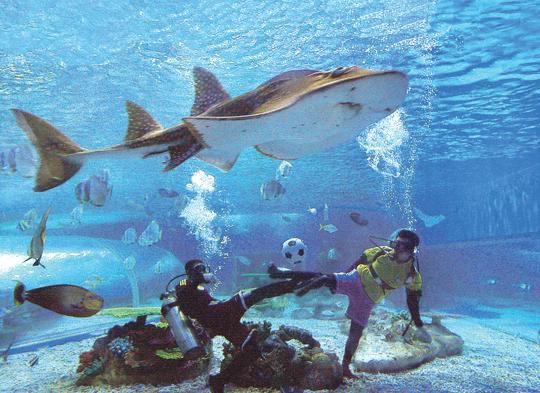 必看的经典足球比赛,特别好玩的足球