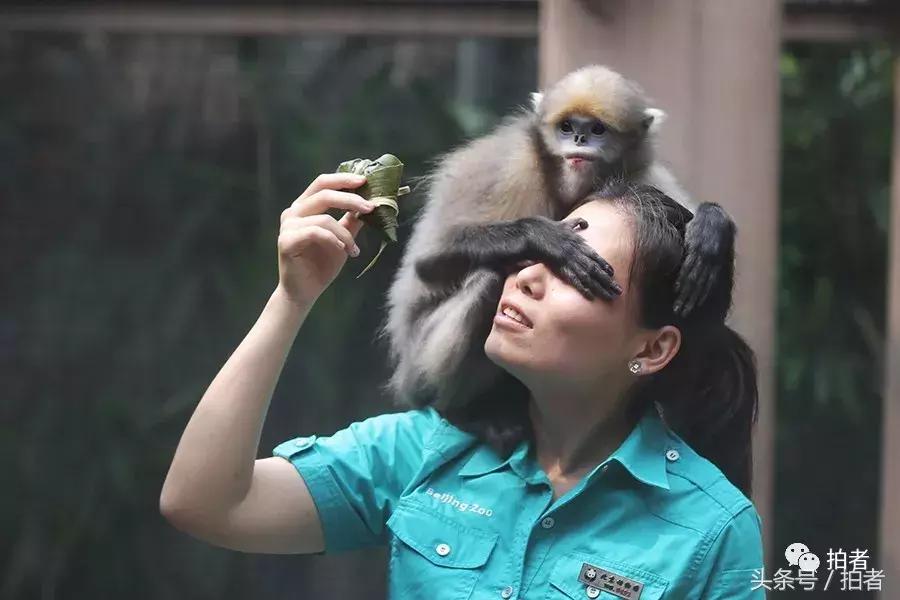 六月的视频片段,六月的惊奇瞬间