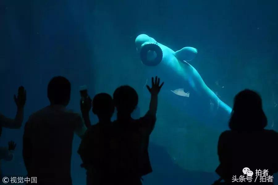 六月的视频片段,六月的惊奇瞬间