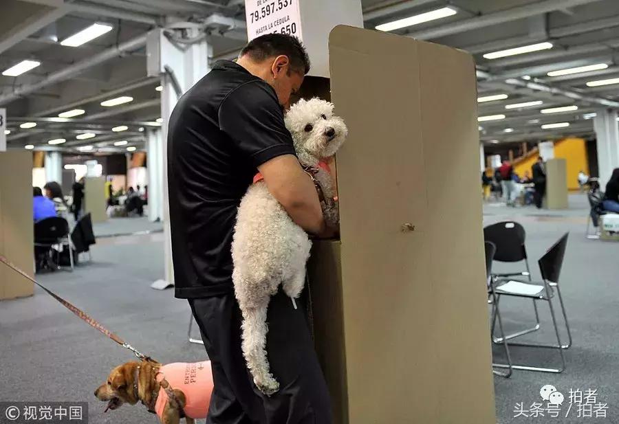 六月的视频片段,六月的惊奇瞬间