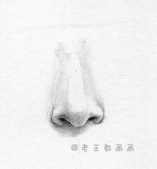 画鼻子教程素描,画鼻子教程动漫