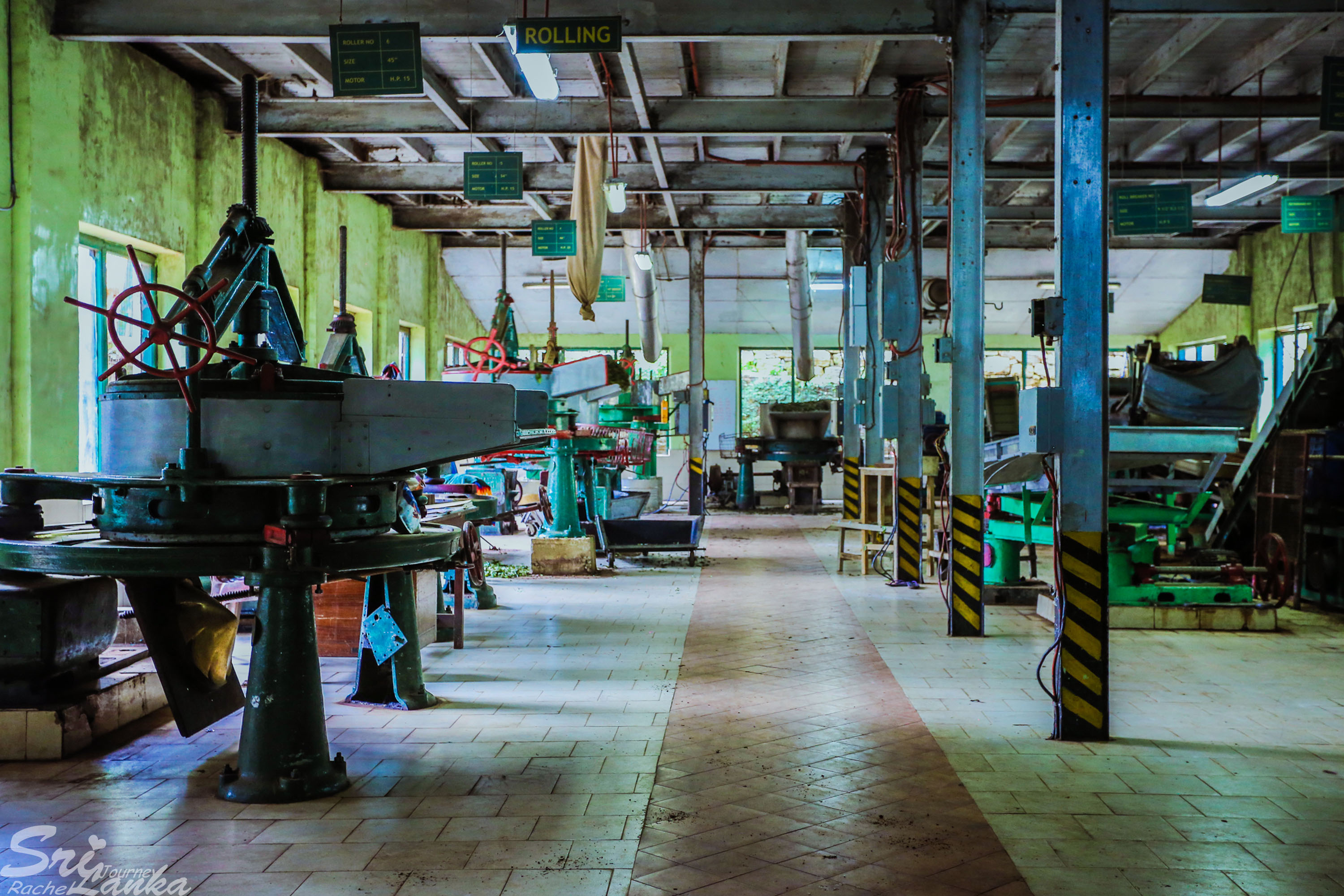 斯里兰卡中国游客,斯里兰卡参观茶厂