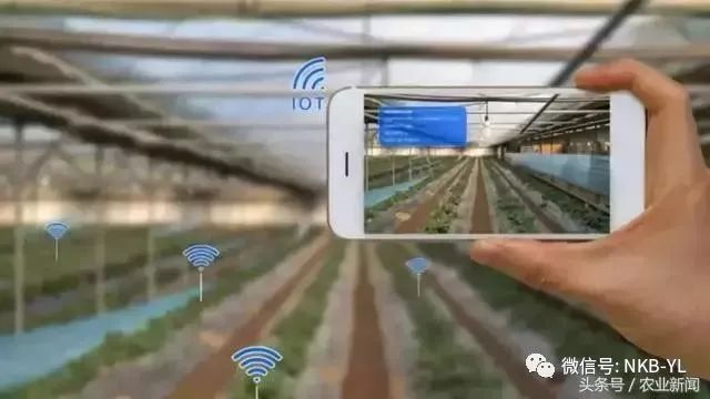 互联网农业应用,互联网农业的六大模式