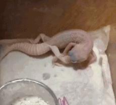 搞笑gif趣图妹子说要和我单独聊聊,搞笑gif趣图不知道说什么只想笑