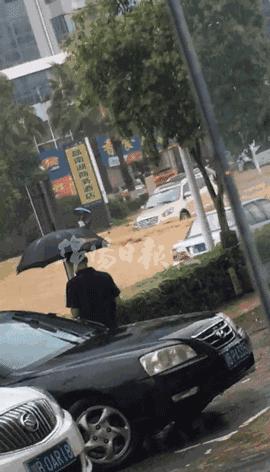 直击近段时间全国各地暴雨现场,直击多地暴雨汛情宜昌