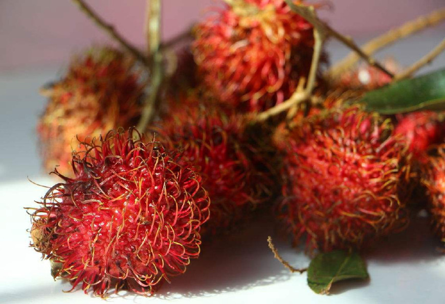 红毛丹营养价值及功效,红毛丹果营养和功效与作用