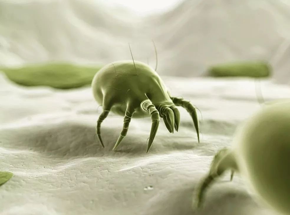 婴儿可用除螨杀菌喷雾,除螨喷雾母婴可用祛螨虫神器