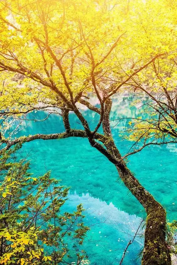 这竟然是农村！中国最美乡村Top10，有你家乡吗？